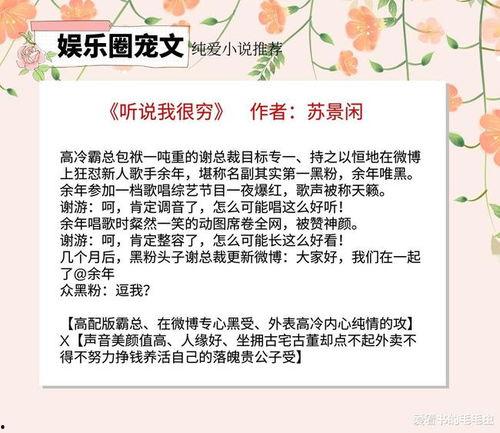 娱乐圈文章爆料的小说,揭秘小说背后的真实故事