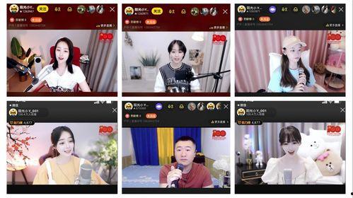 正能量爆料主播视频,揭秘幕后爆笑瞬间